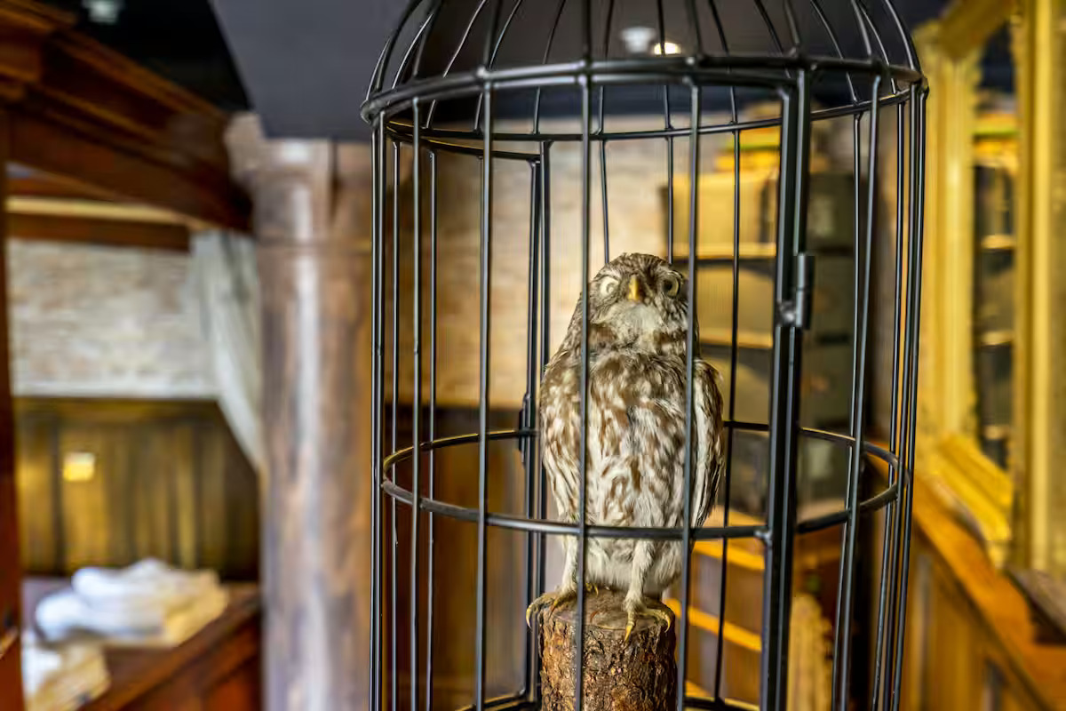 The Enchanted Chamber | holiday letting provider York gallery image 15
